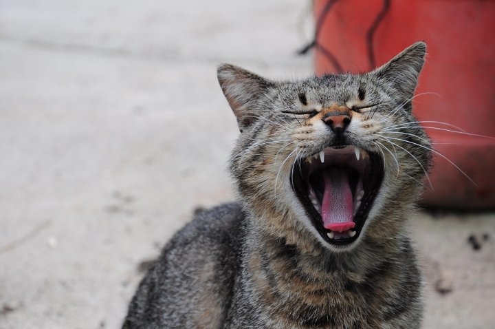 心がぽっかりスピリチュアルの意味とは