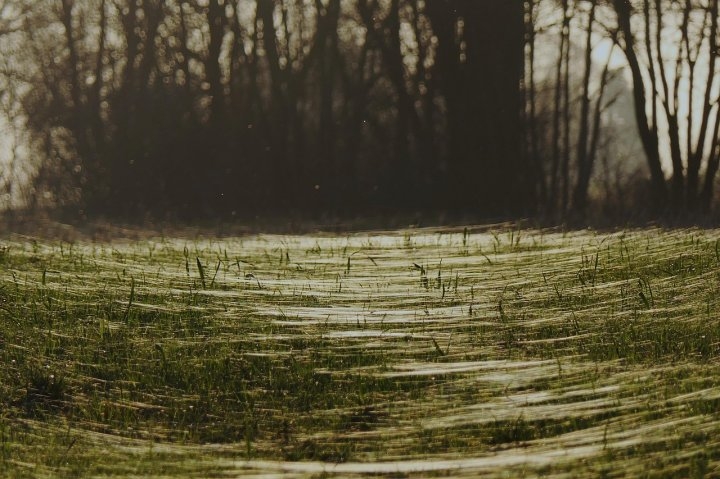 蜘蛛の巣に引っかかるスピリチュアルの意味とは